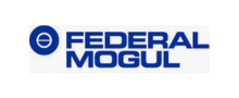 Federal Mogul